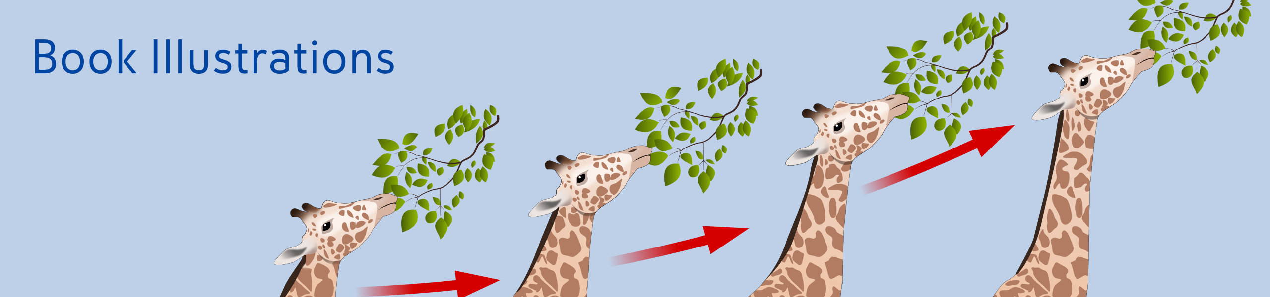 ©KCM Giraffes header