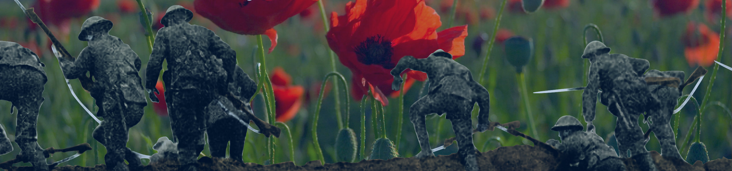 Remembrance slider header